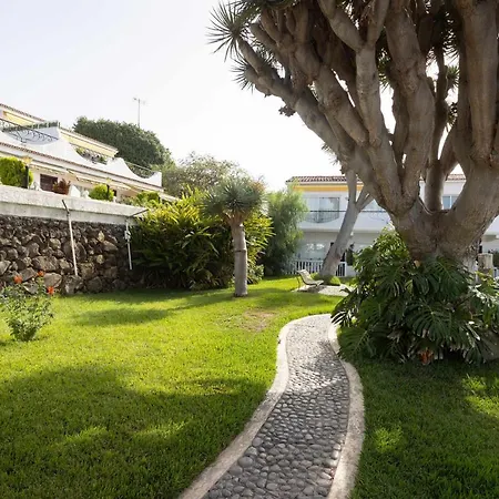 Acogedor Estudio Con Terraza Piscina Y Wifi * Tacoronte
